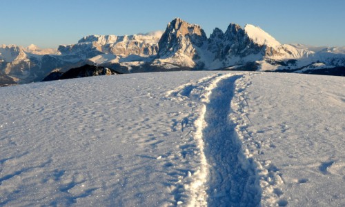 Le nostre offerte speciali