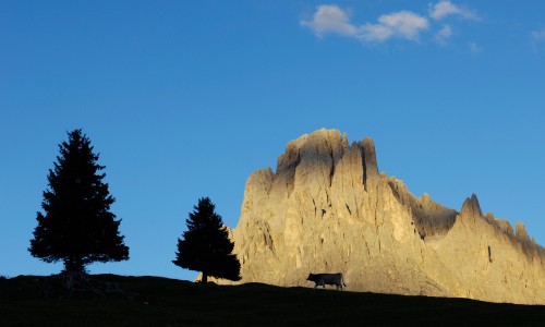 Le nostre offerte speciali